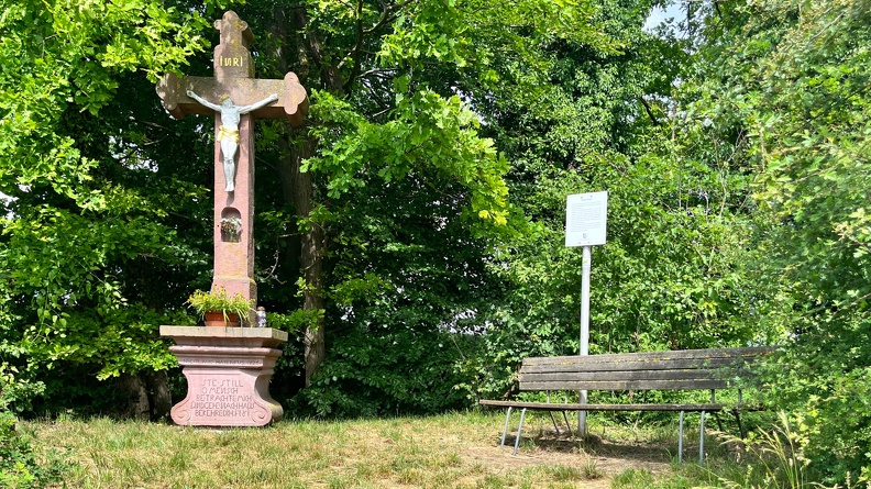 22-06-06 11-24-11 1055.jpeg